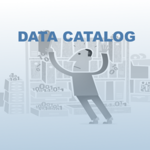 Metadata structureren met Data Catalog